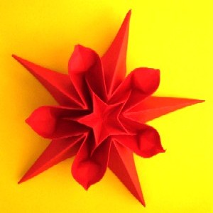 Fleur Origami Etoile Double Rouge